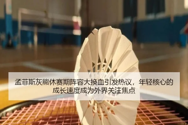 孟菲斯灰熊休赛期阵容大换血引发热议，年轻核心的成长速度成为外界关注焦点